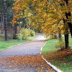 Пансионат Соколова пустынь, Московская область
