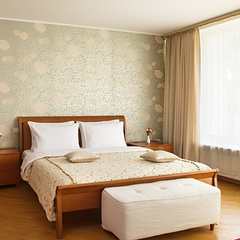 Санаторий Отрадное МЕДСИ, Московская область