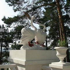 Пансионат Соколова пустынь, Московская область