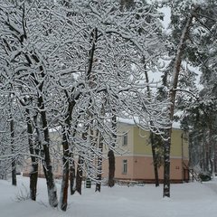 Пансионат Соколова пустынь, Московская область