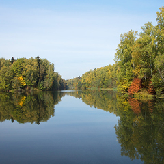 Санаторий Отрадное МЕДСИ, Московская область