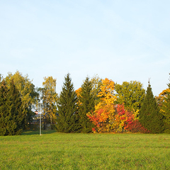 Санаторий Отрадное МЕДСИ, Московская область