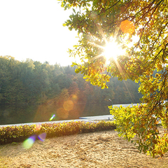 Санаторий Отрадное МЕДСИ, Московская область