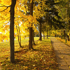 Санаторий Отрадное МЕДСИ, Московская область