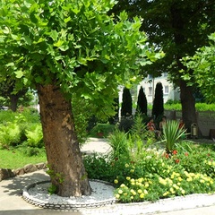 Отель Салют, Новомихайловский, Краснодарский край