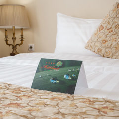 Гостиница Мандарин, Москва, Московская область