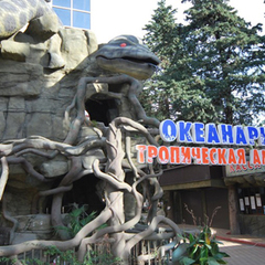 Комплекс отдыха Морская звезда, Лазаревское, Краснодарский край