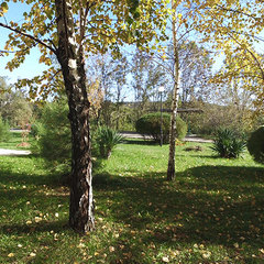 Пансионат Химик, Краснодарский край