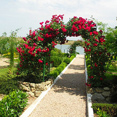 Отель Мыс, Севастополь, Крым