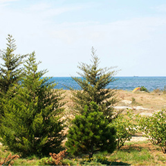 Отель Мыс, Севастополь, Крым