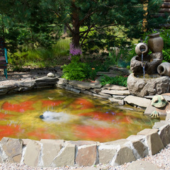 База отдыха Селигерское Заплавье, Тверская область