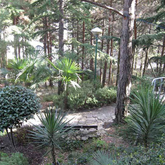 Пансионат Морской Бриз, Гурзуф, Крым