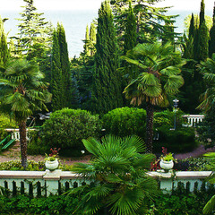 Спа-отель Море, Алушта, Крым