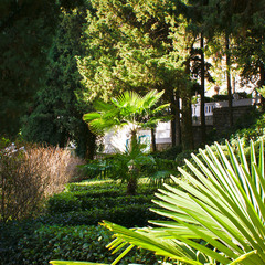 Спа-отель Море, Алушта, Крым