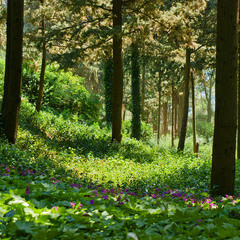 Спа-отель Море, Алушта, Крым