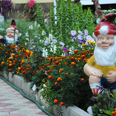 Пансионат Сказка, Николаевка, Крым