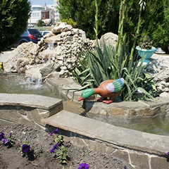 База отдыха Афалина, Анапа, Краснодарский край