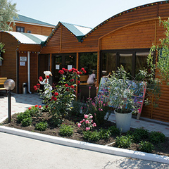 База отдыха Афалина, Анапа, Краснодарский край