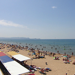 База отдыха Афалина, Анапа, Краснодарский край