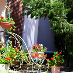 Санаторий Зеленая Долина, Ольгинка, Краснодарский край