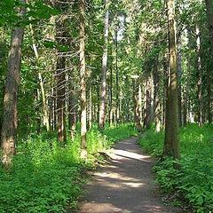 Санаторий Бэс Чагда, Московская область
