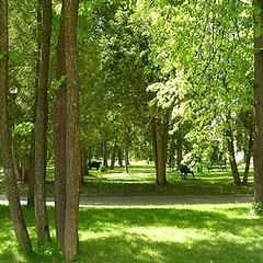 Санаторий Бэс Чагда, Московская область