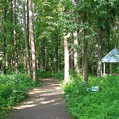 Санаторий Бэс Чагда, Московская область