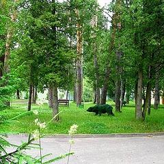 Санаторий Бэс Чагда, Московская область