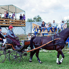 Загородный отель 4 сезона, Московская область