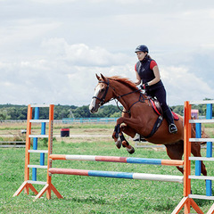 Загородный отель 4 сезона, Московская область