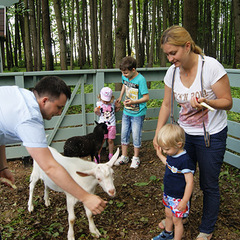 Загородный отель 4 сезона, Московская область