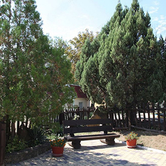 База отдыха Архипо-Осиповка, Краснодарский край