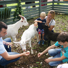 Загородный отель 4 сезона, Московская область