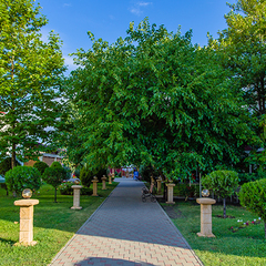 Отель Олимп, Анапа, Краснодарский край