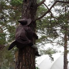 База отдыха Верхний бор, Тюмень, Тюменская область