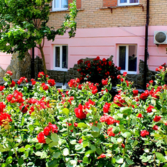 Пансионат Бригантина, Береговое, Крым