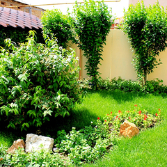 Пансионат Бригантина, Береговое, Крым