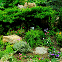 Пансионат Бригантина, Береговое, Крым