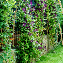 Пансионат Бригантина, Береговое, Крым