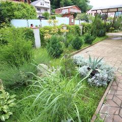 Коттедж Солнечный, Ольгинка, Краснодарский край