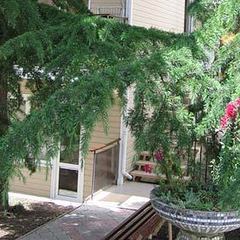 База отдыха Легенда, Сатера, Крым