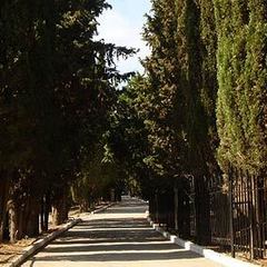 База отдыха Легенда, Сатера, Крым