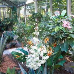 Отель Роял Фолк Резорт, Светлогорск, Калининградская область