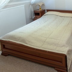 Гостиница Алекс, Светлогорск, Калининградская область