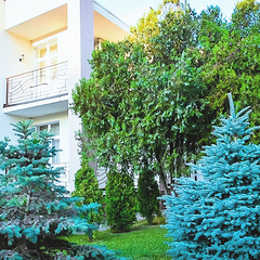 Пансионат Царь Евпатор, Евпатория, Крым