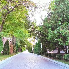 Пансионат Царь Евпатор, Евпатория, Крым