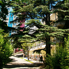 Пансионат Нева, Алушта, Крым