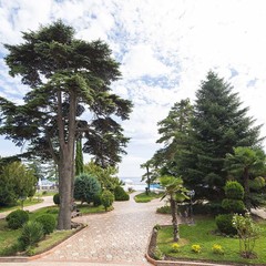 Отель Riviera Sunrise Resort & Spa, Алушта, Крым