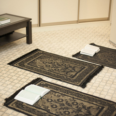 Гостиница Биляр Палас, Казань, Татарстан