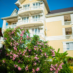 Отель Арина (Лоо), Лоо, Краснодарский край